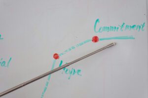 توسعه رهبری برای 9 تیپ انیاگرام هر تیپ می‌تواند یک رهبر باشد